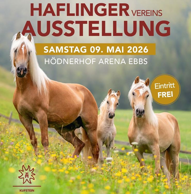 Haflinger Vereinsausstellung