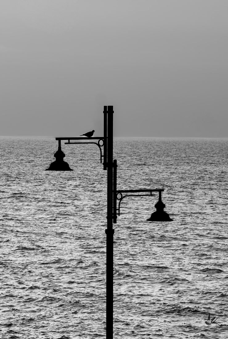 Finissage: FOTO.EXPO 26 _halten