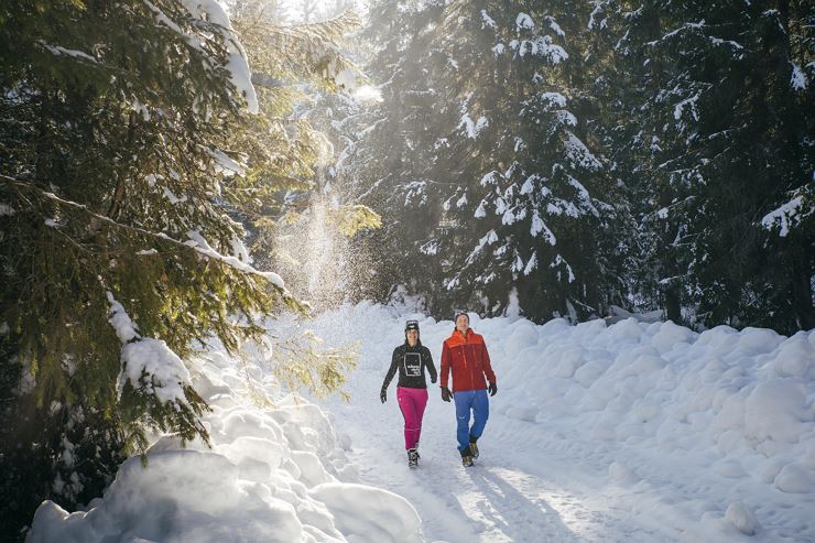 Faszinierende Sonnbergwanderung