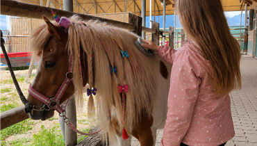 KINDERPROGRAMM -Pferdeglück am Salitererhof in Ebbs