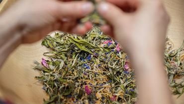 Kräuterpower macht winterfit - Ebbs