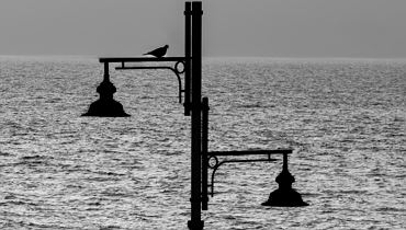 Finissage: FOTO.EXPO 26 _halten