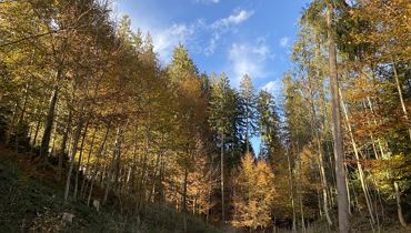 Walk & Talk – exercise meets nutritional advice