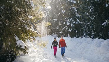 Faszinierende Sonnbergwanderung